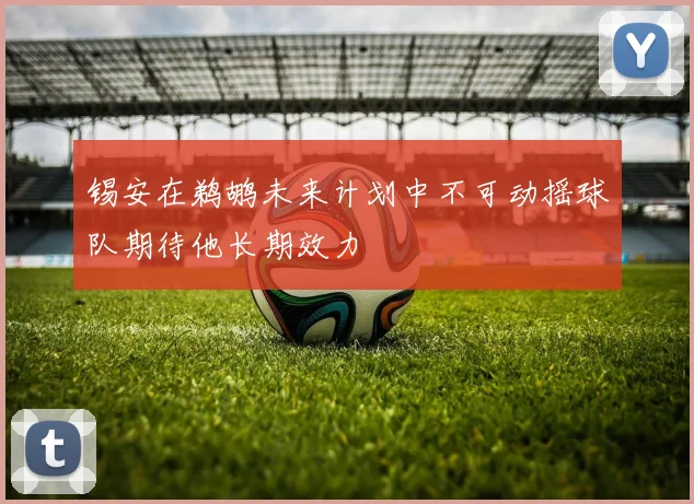 锡安在鹈鹕未来计划中不可动摇球队期待他长期效力